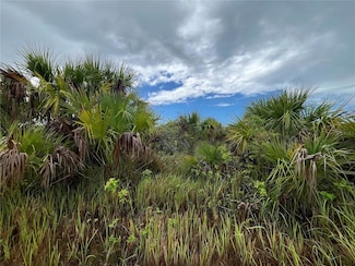 2190 Carter Ave SW, Palm Bay, FL 32908