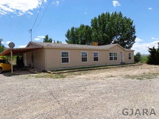 3551 E Rd, Palisade, CO 81526