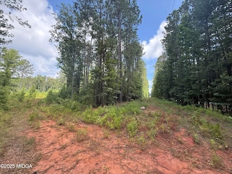 0 Highway 87 Unit 180314, Forsyth, GA 31029
