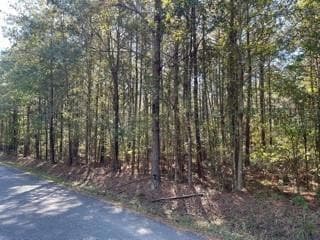 Tract A Big Lake Rd, Pineville, LA 71360