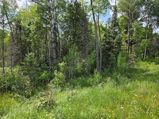40 AC U S 45, Watersmeet, MI 49969