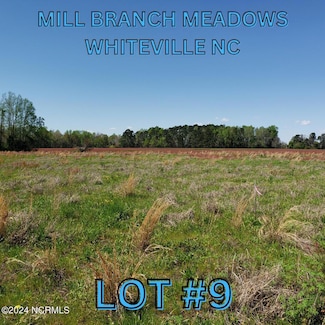 96 Mill St, Whiteville, NC 28472