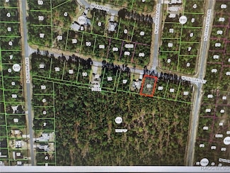 1174 W Galgano St, Citrus Springs, FL 34434