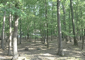 JA Lot 192 Muskegon Cir, Hazle Township, PA 18202