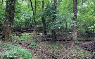 LOT Pleasant Grove Rd, Ellijay, GA 30540