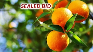 19716 E Trimmer Springs Rd, Sanger, CA 93657