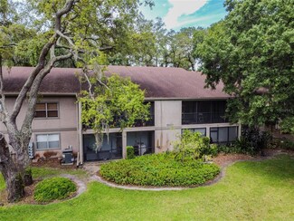 4209 Winding Moss Trail Unit 201, Tampa, FL 33613