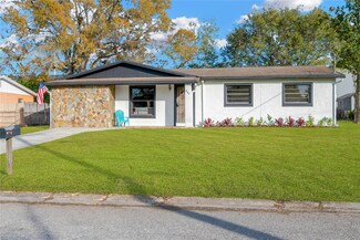 804 Papaya Dr, Tampa, FL 33619