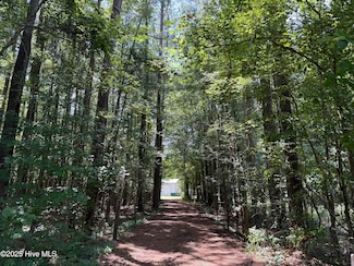 250 Tree, New Bern, NC 28562