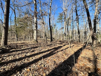 0 Timber Ridge Unit 913914, Buchanan, VA 24066