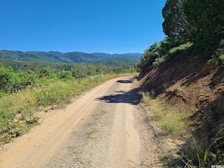 146 Woolf Hollow Rd Unit 146, Fairview, UT 84647