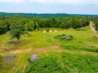 0 Peter Martin Hill Rd Unit 24029593, Cave City, AR 72521