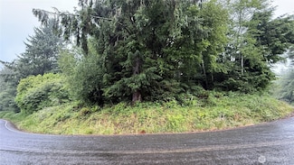 131015416 S Bend Palix Rd, South Bend, WA 98586