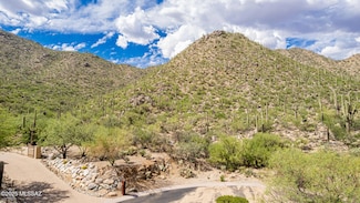 15285 N Silent Vista Ct Unit 132, Marana, AZ 85658