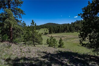 2099 Julia Rd, Guffey, CO 80820