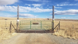 4990 Meier Ridge Trail Unit 5907, Fairplay, CO 80440