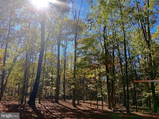 Lot 30 Wild Flower Way, Albright, WV 26519