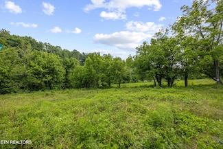 5389 Cocke County Line Rd, Cosby, TN 37722