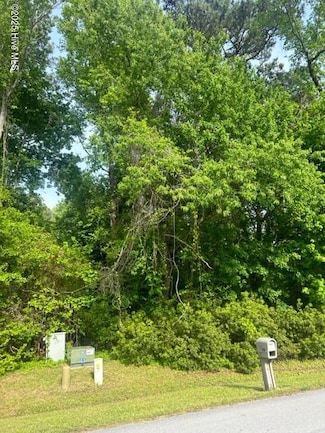 154 Barrington, Bogue, NC 28570
