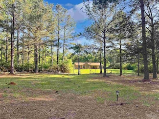 13505 Highway 87 N, Jay, FL 32565