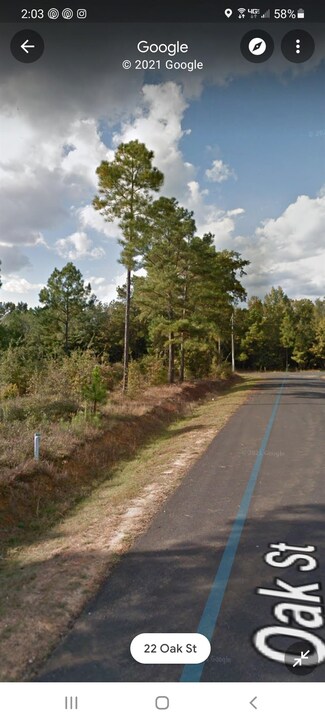 v/l Oak St, Hawkinsville, GA 31036