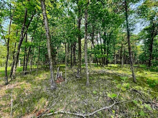 0 Nejedlo Rd, Wausaukee, WI 54177