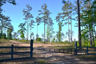 0 Smallwood Rd, Ridgeway, SC 29130