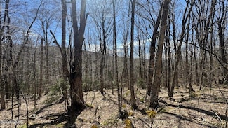 0 Alpendorf Ave, Readsboro, VT 05350