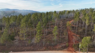 08 County Road 176, Piedmont, AL 36272