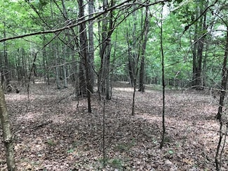 0 Bluff View Dr Unit 1396235, Dunlap, TN 37327