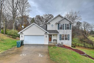 317 Henrys Ln, Bristol, VA 24202