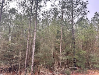 TBD Fortenberry Cir, McComb, MS 39648