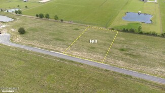 Tbd Doc Guidry Rd Unit 3, Cankton, LA 70584