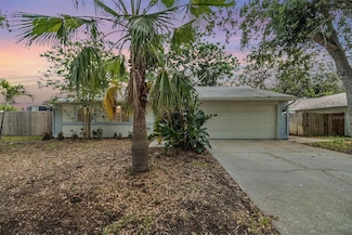 1041 Forest Grove Blvd, Palm Harbor, FL 34683
