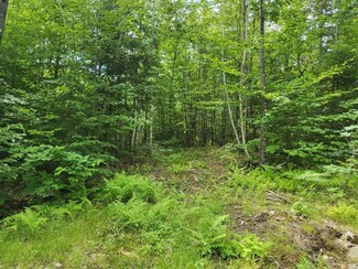 M32 L012- D8 -2 Lyle Hall Rd, Wilton, ME 04924