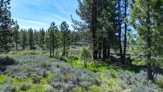 Parcel 2B Highway 70 Unit 1380 Wolf Meadows La, Portola, CA 96122