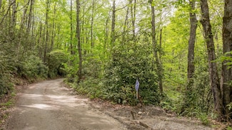 30 Eucalyptus Dr, Glenville, NC 28736
