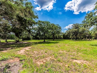 160 Radcliff Ln, Rosanky, TX 78953