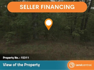 203 Hot Springs Rd, Horseshoe Bend, AR 72512