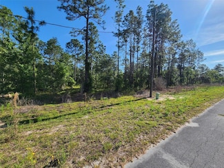 0 NW Shamrock Ave Unit MFROM702261, Dunnellon, FL 34431