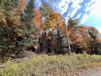 LOTS 59, 60, 61 Maple Dr, Three Lakes, MI 49861
