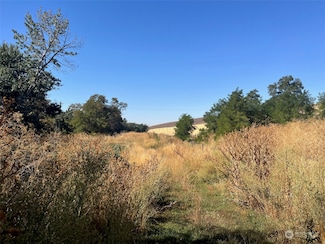 0 Pettybone St Unit NWM2186704, Waitsburg, WA 99361