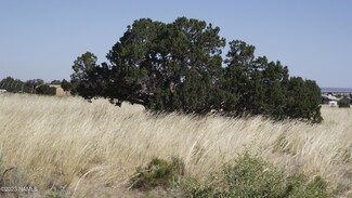 4101 Meadowbrook Dr, Williams, AZ 86046