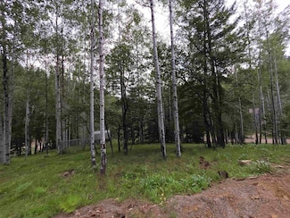 000 Deer Dr Unit 8, Cloudcroft, NM 88317