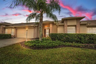 12132 Arron Terrace, Trinity, FL 34655