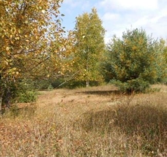 00 Pueblo Trail, Evart Township, MI 49631