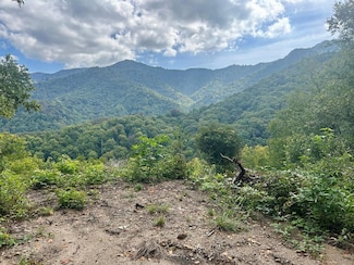 Tract 2 Black Rock Rd, Cherokee, NC 28719
