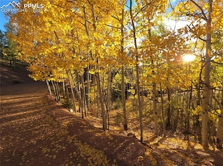 899 Little Topsey Dr, Cripple Creek, CO 80813