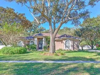 2201 Colewood Ln, Dover, FL 33527