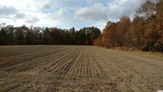 106 ac Trio Rd, Andrews, SC 29510